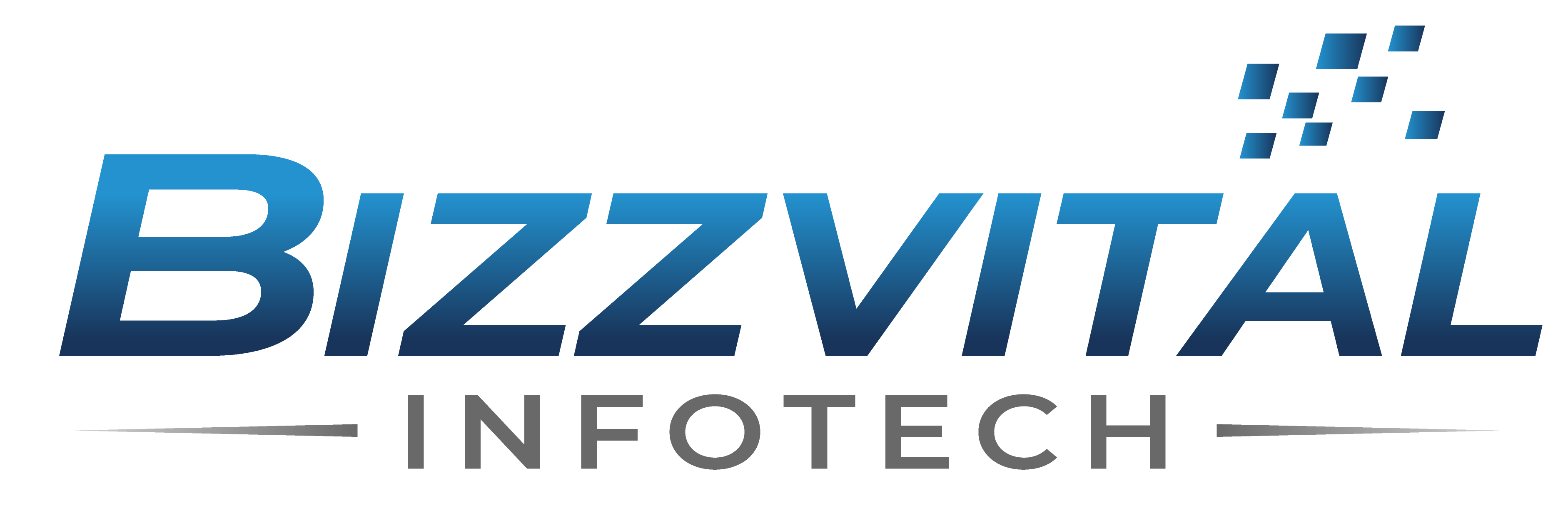 Bizz Vital Infotech